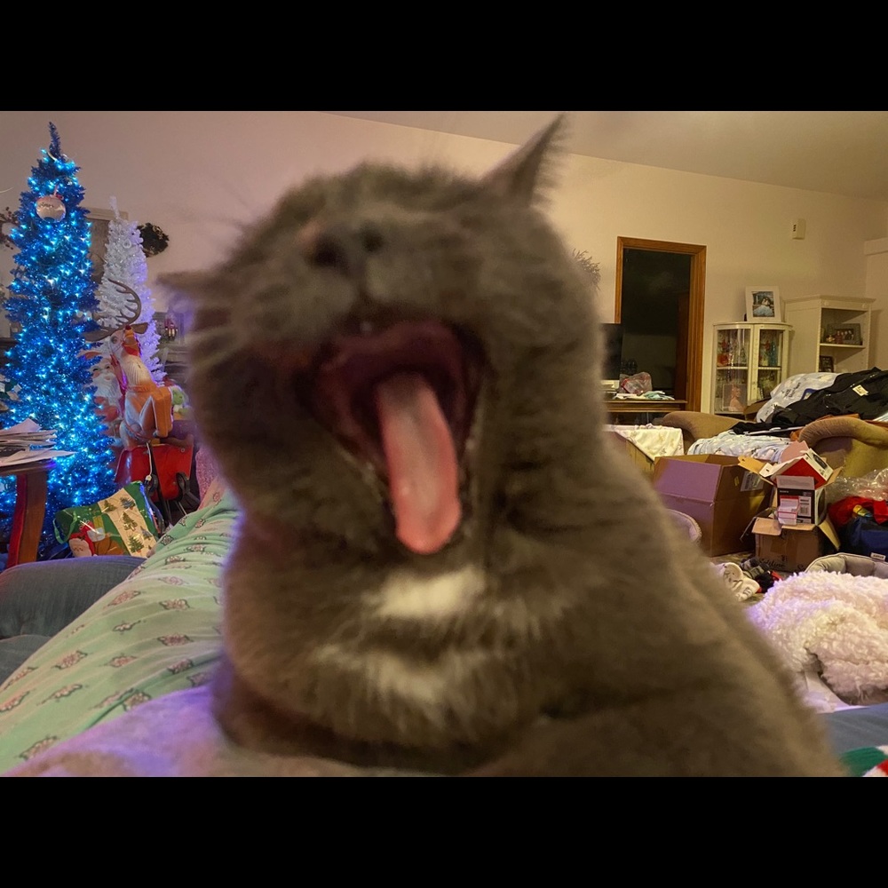 Meet your Posher, Sandra